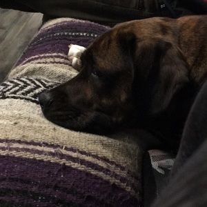 Meet your Posher, Helen